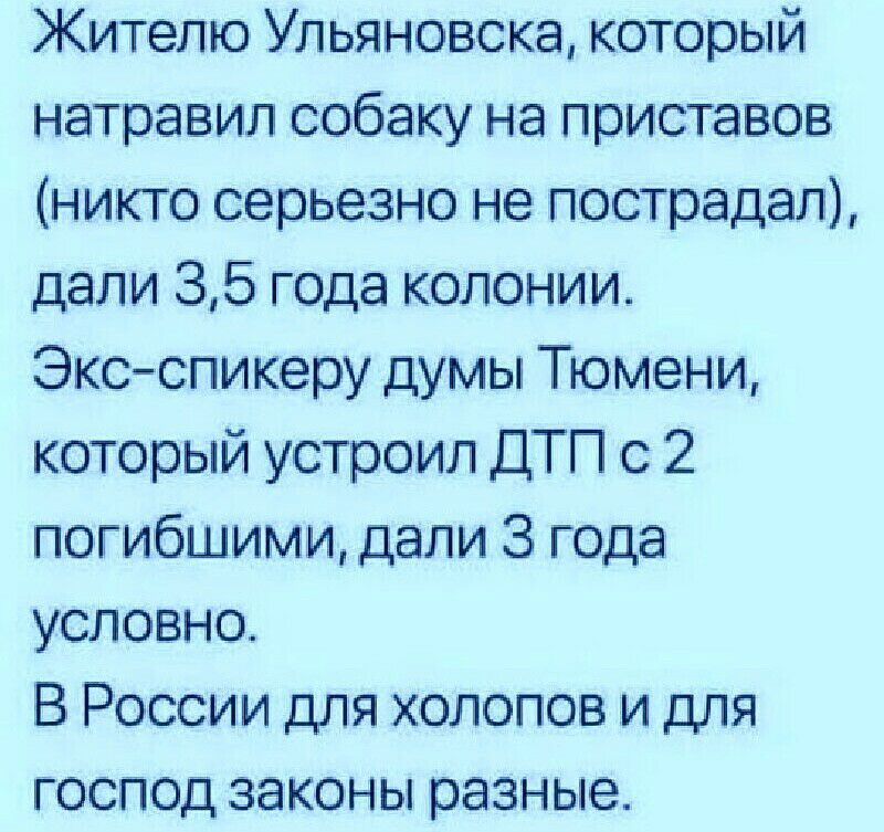 Жителю Ульяновска который натравил собаку на приставов никто серьезно не пострадал дали 35 года колонии Экс спикеру думы Тюмени который устроил ДТП с 2 погибшими дали 3 года условно В России для холопов и для господ законы разные