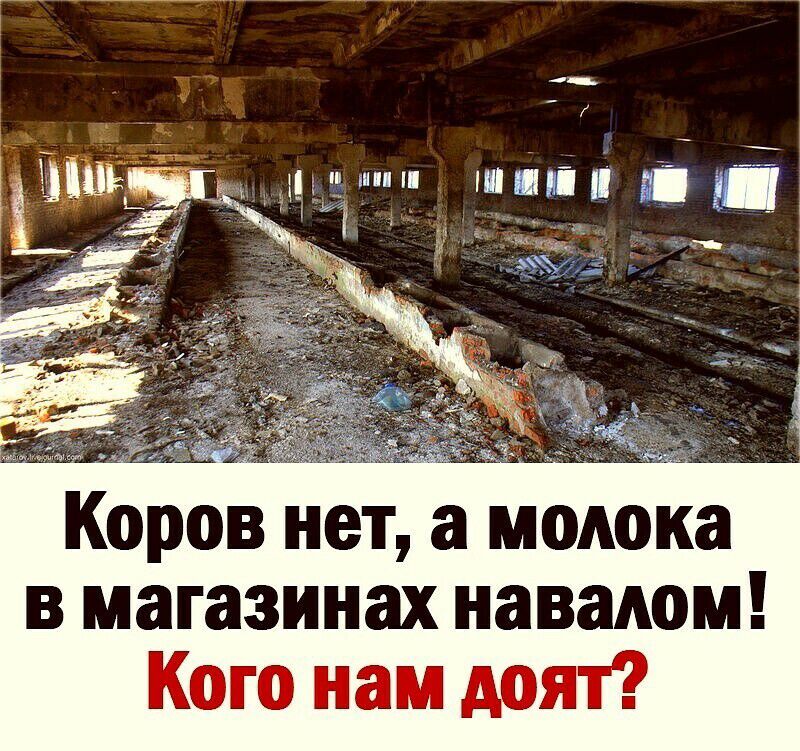 А 7 дп пит ШШШ Ё іі Коров нет а молока в магазинах навалом Кого нам доят