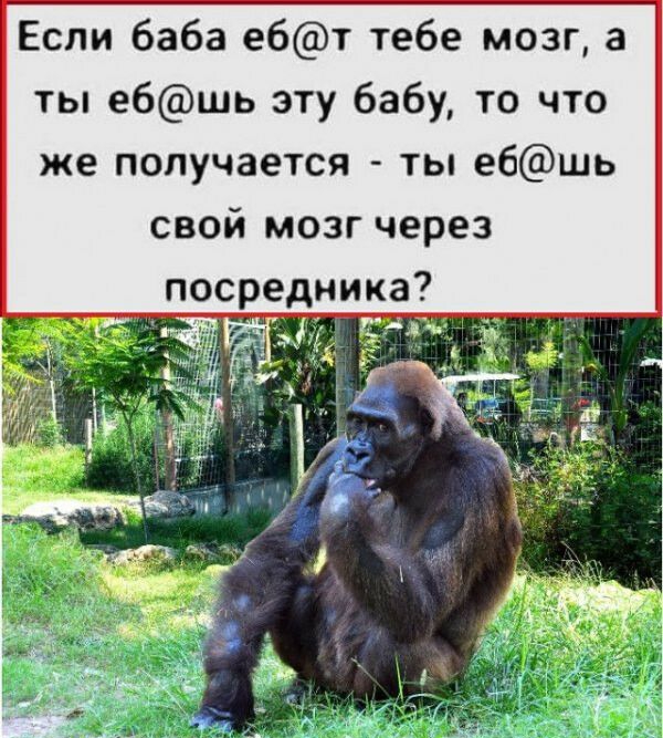 Если баба ебт тебе мозг 3 ты ебшь эту бабу то что же получается ты ебшь свой мозг через посредника