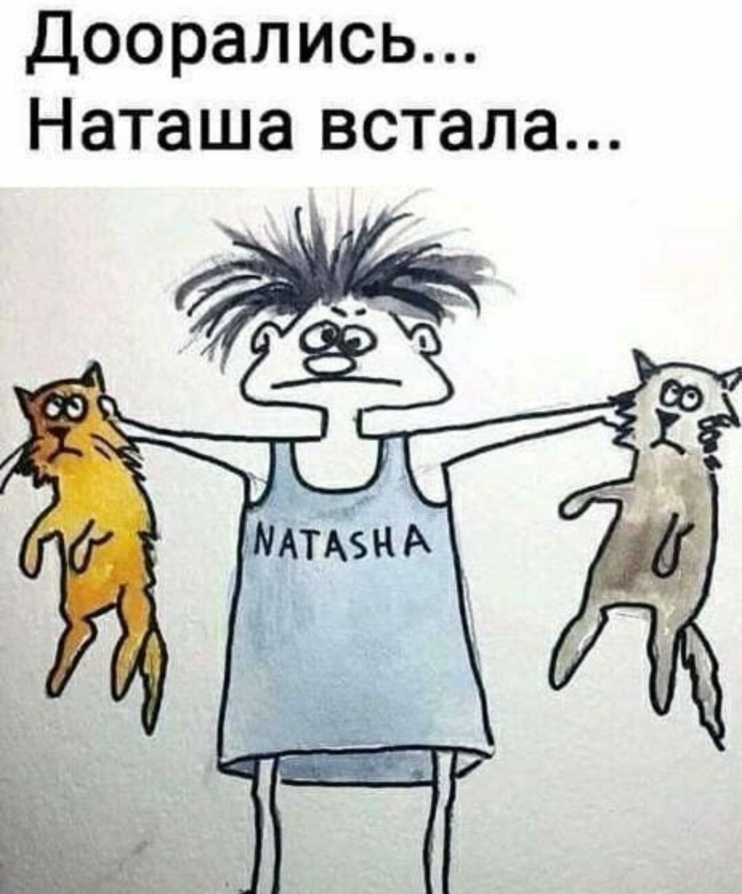 Наташа вставай. Приколы про Наташу и котов. Наташа встала. Смешные открытки про Наташу.