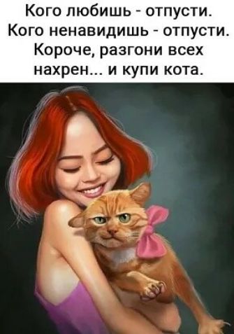 Кого любишь отпусти Кого ненавидишь отпусти Короче разгони всех нахрен и купи кота