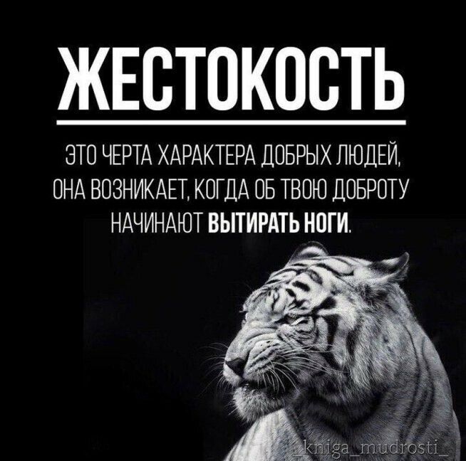 ЖЕСТОКОВТЬ ЭТО ЧЕРТА ХАРАКТЕРА ДПБРЫХ ЛЮДЕЙ ОНА ВОЗНИКАЕТ КОГДА ОБ ТВПЮ ДОБРОТУ НАЧИНАЮТ ВЫТИРАТЬ НОГИ О Т йёадпи 105Ы_ т
