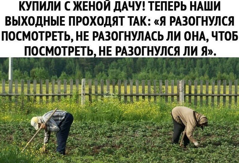 КУПИЛИ С ЖЕНОИ ДАЧУ ТЕПЕРЬ НАШИ ВЫХОДНЫЕ ПРОХОДЯТ ТАК Я РАЗОГНУЛСЯ ПОСМОТРЕТЬ НЕ РАЗОГНУЛАСЬ ЛИ ОНА ЧТОБ ПОСМОТРЕТЬ НЕ РАЗОГНУЛСЯ ЛИ Я
