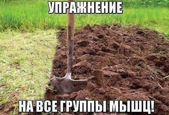 УПРАЖНЕНИЬ