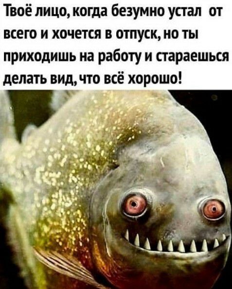 Твоё лицо когда безумно упал от всею и хочется в отпуск но ты приходишь на работу и стараешься делать видчто всё хорошо