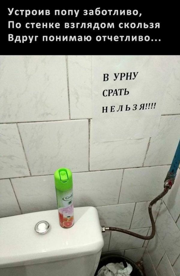 Устроив попу заботливо По стенке взглядом скользя Вдруг понимаю отчетливо