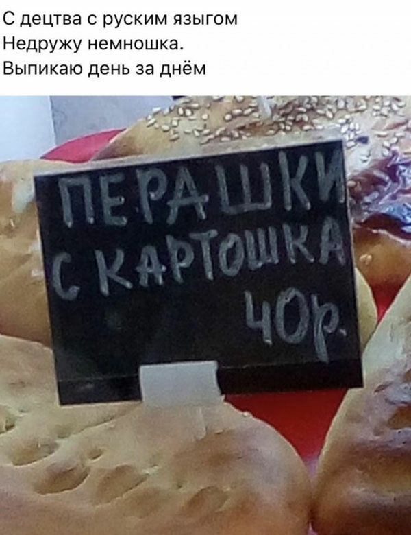 С децтва с руским языгом Недружу немношка Выпикаю день за днём