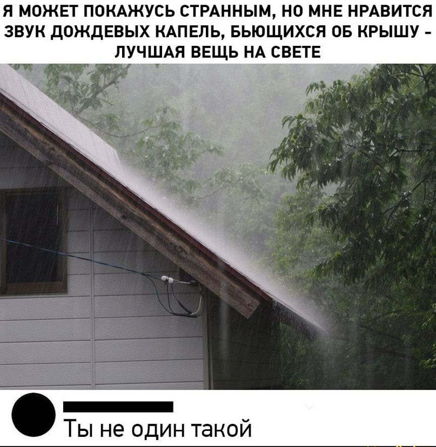 Я МОЖЕТ ПОКАЖУСЬ СТРАННЫМ НО МНЕ НРАВИТСЯ ЗВУК ДОЖДЕВЫХ КАПЕЛЬ БЬЮЩИХСЯ ОБ КРЫШУ ЛУЧШАЯ ВЕЩЬ НА СВЕТЕ _ Ты не один такой