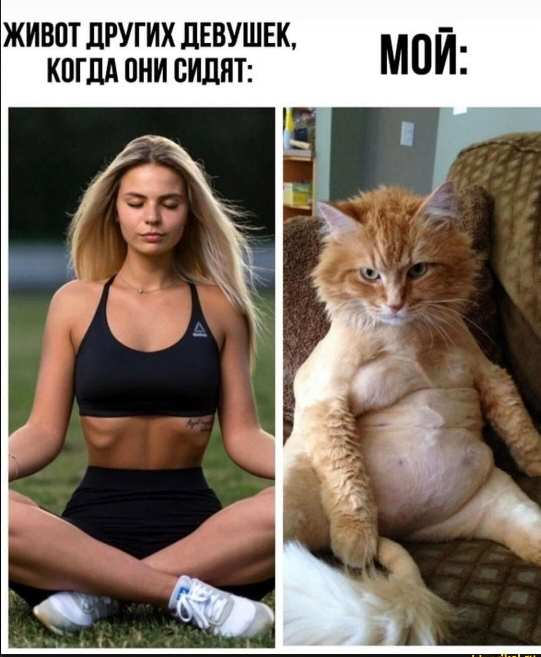 ЖИВПТ дРУГИХ дЕВУШЕК КОГДА ОНИ ВИДЯТ