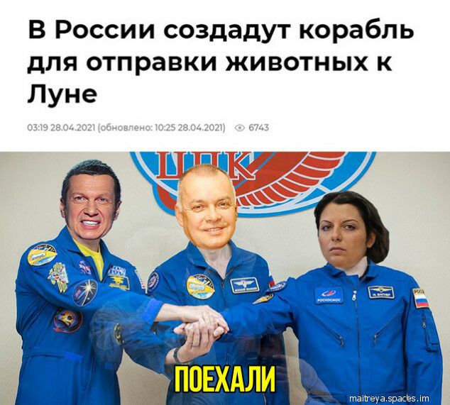 В России создадут корабль для отправки животных к Луне