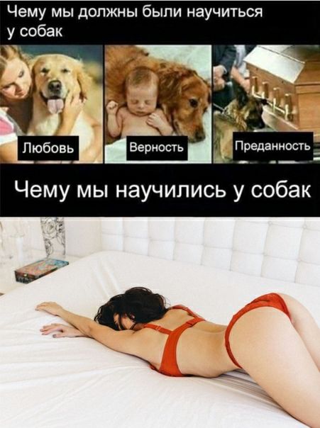 Чему мы должны были научиться Преданность