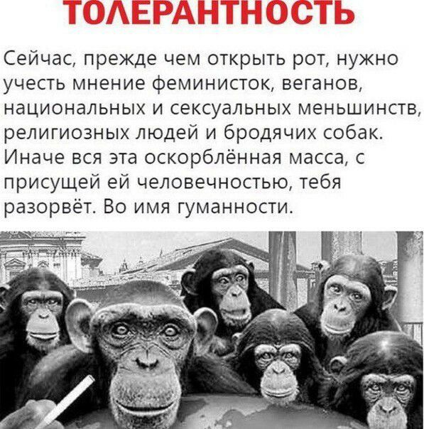 Сейчас прежде чем открыть рот нужно учесть мнение феминисток веганов национальных и сексуальных меньшинств религиозных людей и бродячих собак Иначе вся эта оскорблённая масса с присущей ей человечностью тебя разорвёт Во имя гуманности