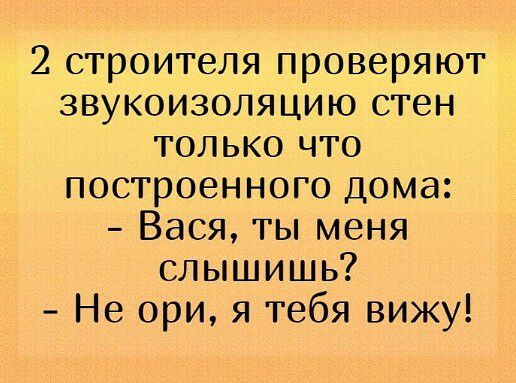 2 строителя проверяют звукоизоляцию стен только что построенного дома Вася ты меня слышишь Не ори я тебя вижу