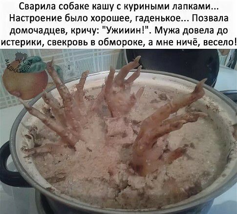 Сварила собаке кашу с куриными лапками Настроение было хорошее гаденькое Позвала домочадцев кричу Ужииин Мужа довела до истерики свекровь В обмпроке 3 Мне НИЧЁ ВЕСЕЛО