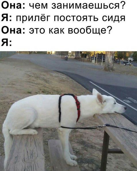 Она чем занимаешься Я припёг постоять сидя Она это как вообще Я