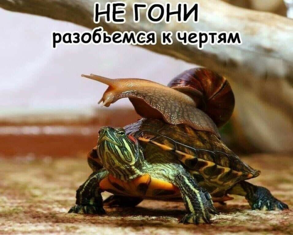 НЕЭЕОНИ разобьемея кчертям