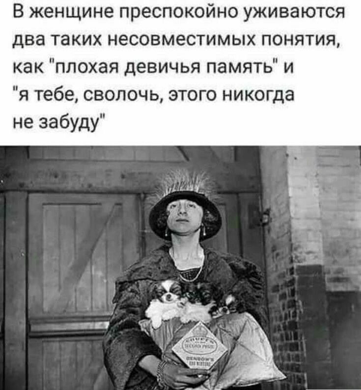 В женщине преспокойно уживаются два таких несовместимых понятия как плохая девичья память и я тебе сволочь этого никогда не забуду