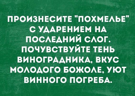 произннситв похмыьв с УААРЕНИЕМ НА посмадний САОГ почувствуйте ТЕНЬ ВИНОГРААНИКА вкус МОАОАОГО БОЖОАЕ уют винного ПОГРЕБА