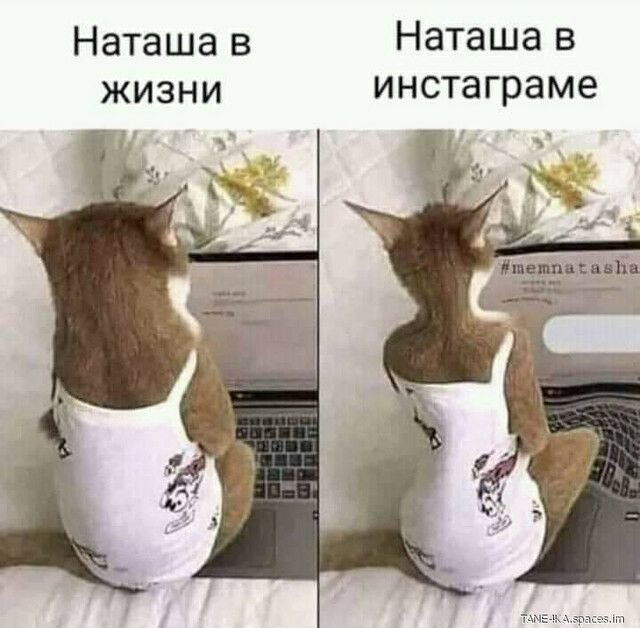 Наташа в Наташа в жизни инстаграме