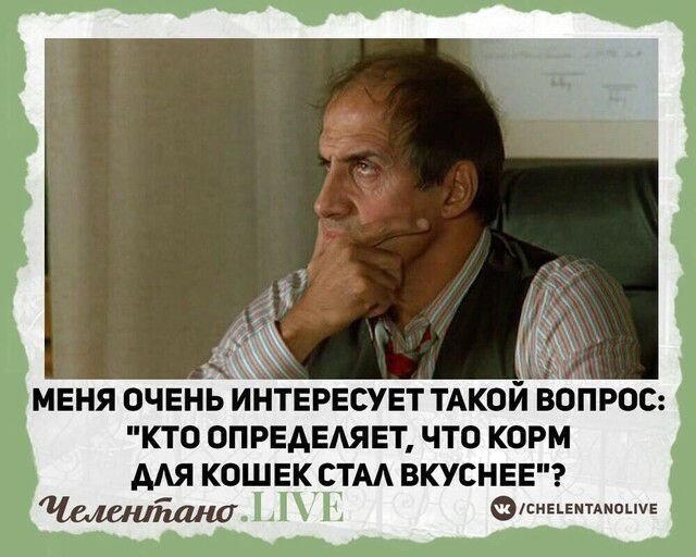 меня очень интересует ТАкой ВОПРОС кто опредедяет что корм мя кошек стм вкуснее 11 ми