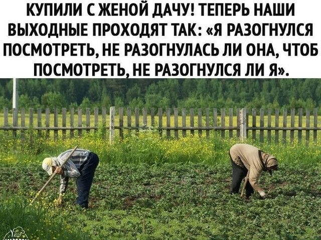 КУПИЛИ С ЖЕНОЙ дАЧУ ТЕПЕРЬ НАШИ ВЫХОДНЫЕ ПРОХОДЯТ ТАК Я РАЗОГНУЛСЯ ПОСМОТРЕТЬ НЕ РАЗОГНУЛАСЬ ЛИ ОНА ЧТОБ ПОСМОТРЕТЬ НЕ РАЗОГНУЛСЯ ЛИ Я