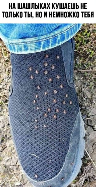 НА ШАШПЫКАХ КУШАЕШЪ Е ТПЛЬКП ТЫ НП И НЕМНПЖКП ТЕБЯ А