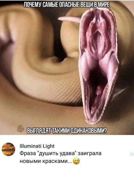 итіпасі иди Фраза душить удава заиграла новыми красками