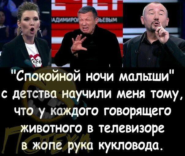 Спокойной ночи малыши с детства научили меня тому что у каждого говорящего животного в телевизоре в жопе рука кукловода
