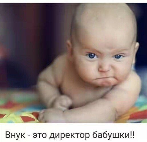 Внук это директор бабушкин