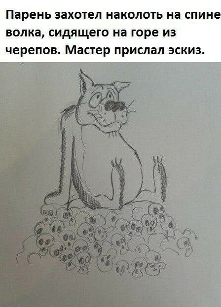Парень ЗЭХОТЕЛ НЗКОЛОТЬ на СПИНЕ волка сидящего на горе из черепов Мастер прислал эскиз
