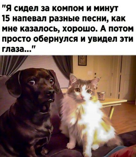 Я сидел за компом и минут 15 напевал разные песни как мне казалось хорошо А потом просто обернулся и увидел эти глаза