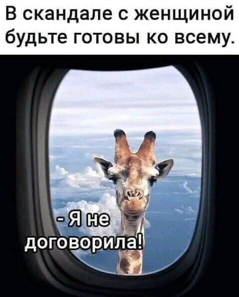 В скандале с женщиной будьте готовы ко всему