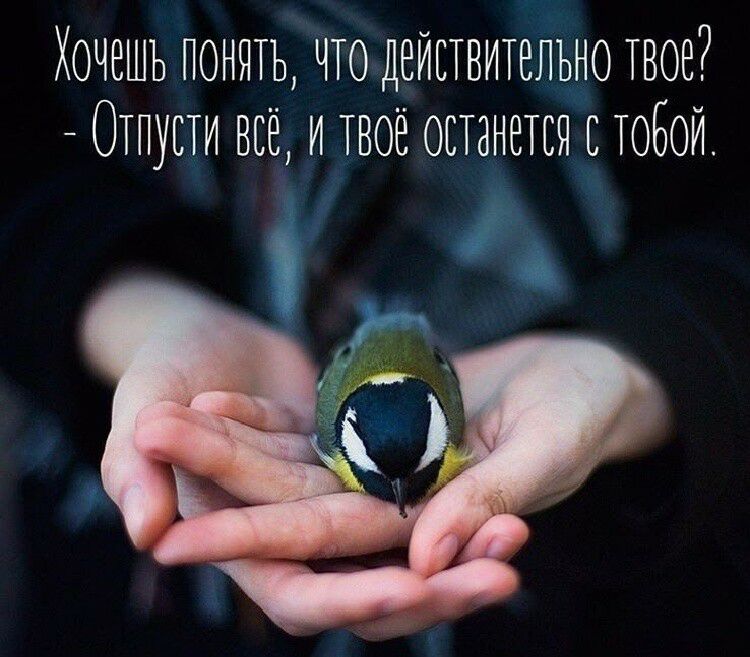 ХОЧЕШЬ ПОНЯТЬ ЧТО ДЕЙСТВИТЕЛЬНО ТВОЕ ОТПУЕТИ ВСЕ И ТВОЕ ОЕТЗНЕТЕЯ Е ТОБОЙ