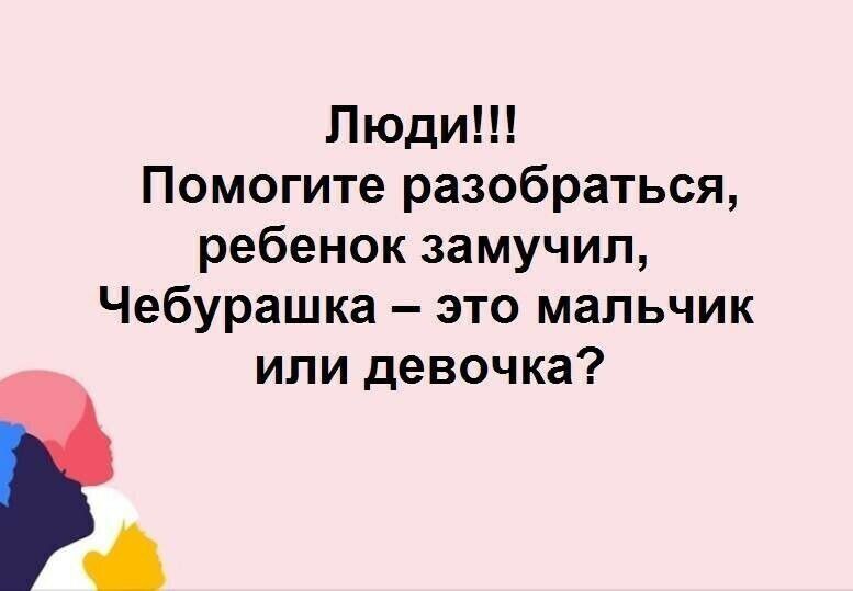 Люди Помогите разобраться ребенок замучил Чебурашка это мальчик или девочка
