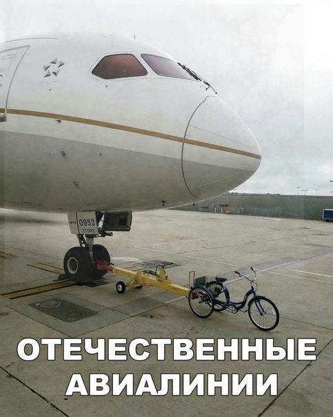 ОТЕЧЕСТВЕННЫЕ Авидлинии