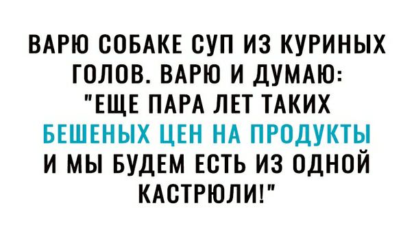 Варю собаке суп из куриных голов. Варю и думаю: 