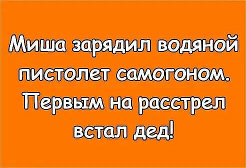 Шиц миша життя тп