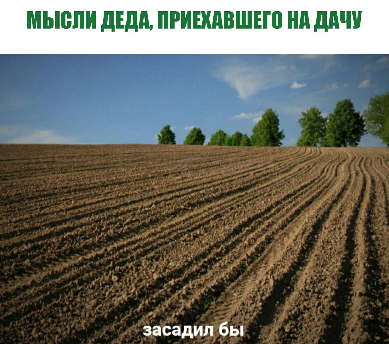 МЬЮПИ дЕдд ПРИШАВШЕШ нд ддЧУ ы г _ д О Л _ ГЙ _ 17 г 1 засадил бы