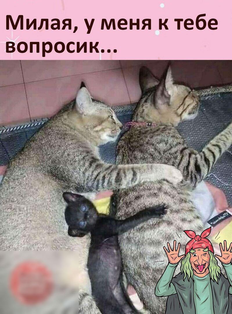 Милая у меня к тебе вопросик