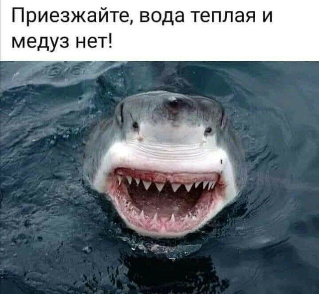 Приезжайте вода теплая и медуз нет г