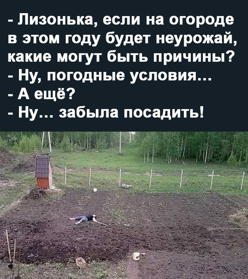 Пизонька если на огороде в этом году будет неурожай какие могут быть причины Ну погодные условия А ещё Ну забыла посадить