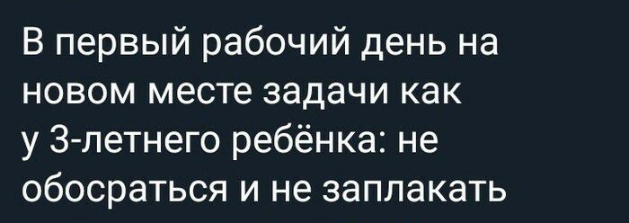 В первый рабочий день на новом месте задачи как у Злетнего ребёнка не обосраться и не заплакать