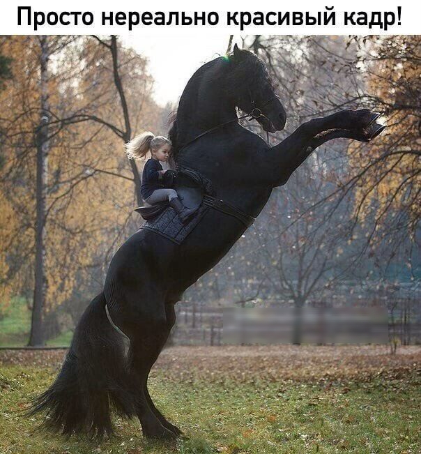 Просто нереально красивый кадр