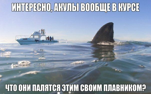 Ш_ЁШВ ЧП ШШШЁП ЭТИМ ВВПИМ ПППВНИНПМ