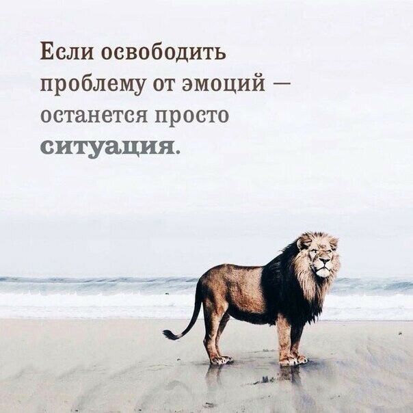 Если освободить проблему от эмоций останется просто ситуация