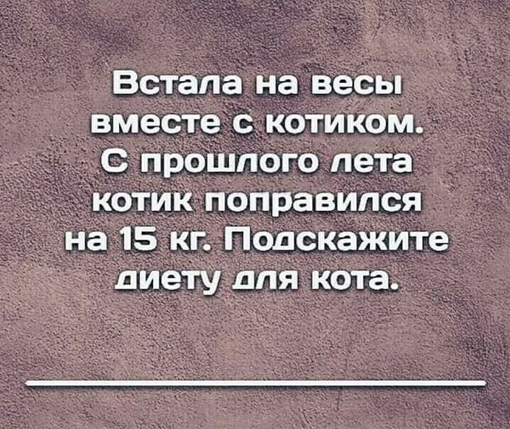 Встала на весы вместе котиком _ _ __с прошлого пета __ котик поправился на 15 кг П01Саите диеіу для кота