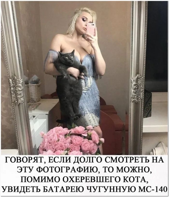 ГОВОРЯТ ЕСЛИ ДОЛГО СМОТРЕТЬ НА ЭТУ ФОТОГРАФИЮ ТО МОЖНО ПОМИМО ОХЕРЕВШЕГО КОТА УВИДЕТЬ БАТАРЕЮ ЧУГУННУЮ МС 14О