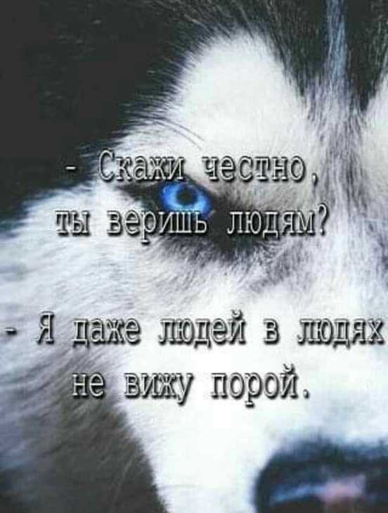 Сэаэ т взе ;