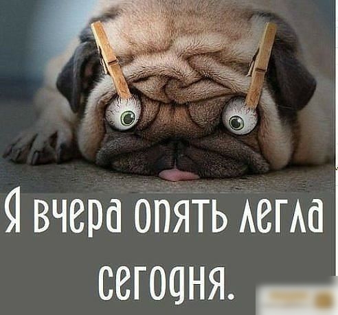 Я вчера опйть АегАа сегоаня