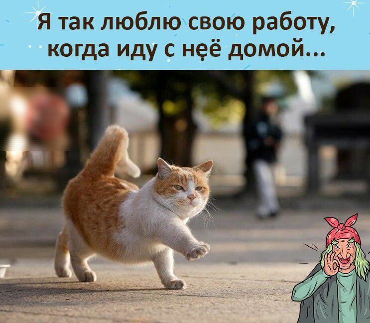 Я так люблю свою работу, когда иду с неё домой...